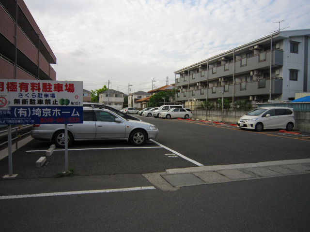P3151画像
